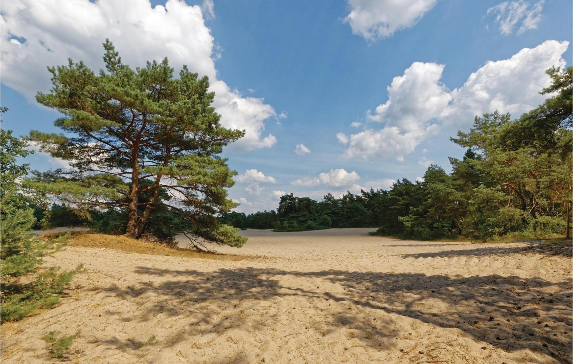 Vossenhol Villa Ommen Kültér fotó